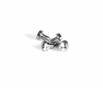 EGW Grip Screws Hex SS (Pkg of 4)