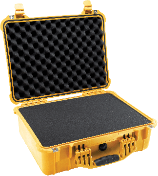 1520 Protector Case