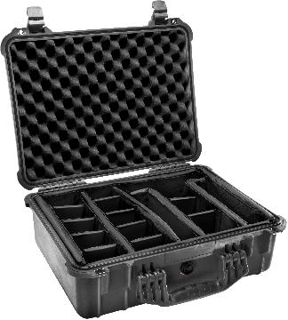 1520 Protector Case