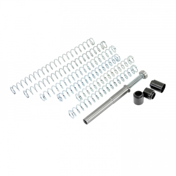 DPM Recoil Reduction System for SIG P365 – FUSE 4.3"
