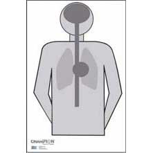 Champion LE Shooting Targets - Anatomy (100 Pack)