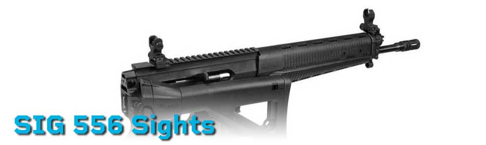 SIG 556 Sights