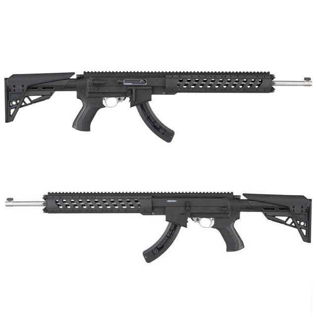 Ruger 10 22 Conversion